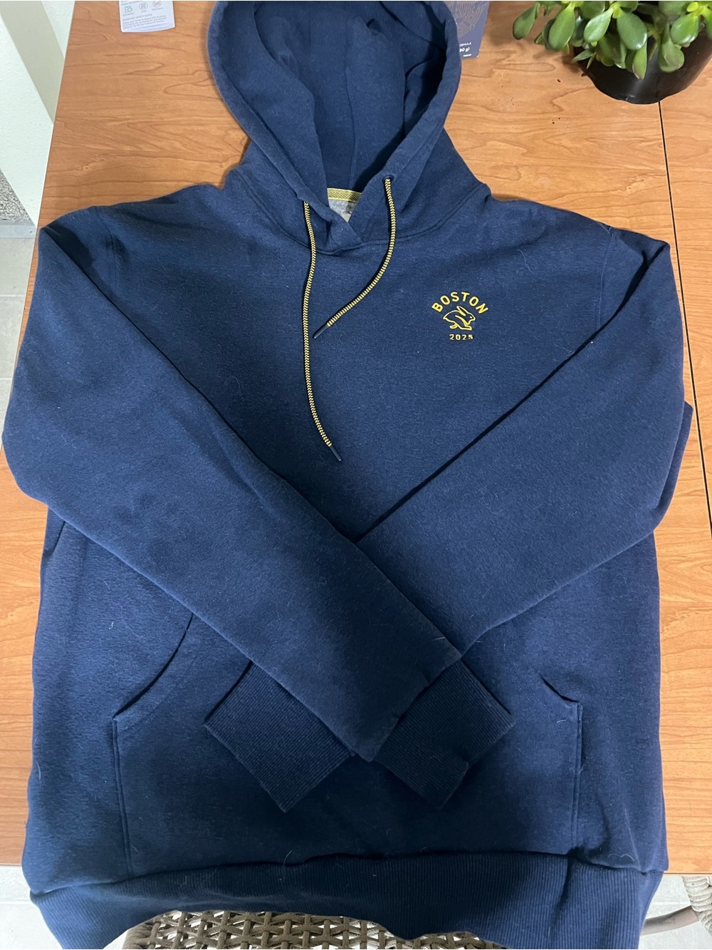 Rabbit Boston Marathon 2025 Hoodie